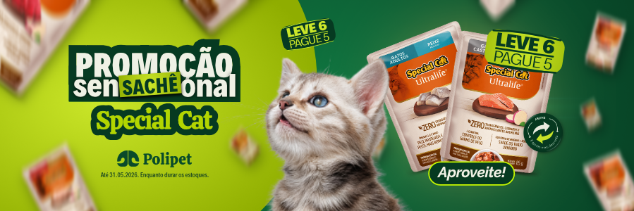 Special Cat