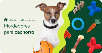 compre-por-pet/cachorro/brinquedos-para-cachorro/mordedores-para-cachorro