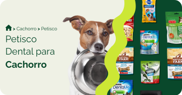 Petisco dental