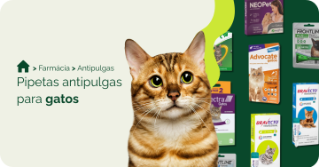 farmacia/antipulgas-para-gatos/pipeta-antipulgas-para-gatos