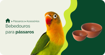 Comedouros para pássaros