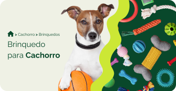 compre-por-pet/cachorro/brinquedos-para-cachorro