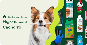 Higiene para cachorro