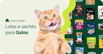 Latas e sachês para gatos