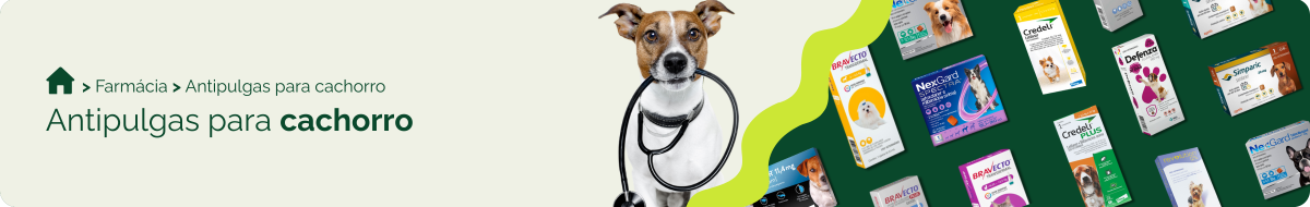 farmacia/antipulgas-para-cachorro