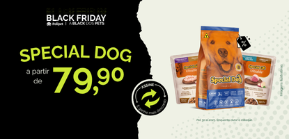 carrosel-app Special dog