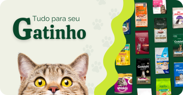 Tudo para o seu gato