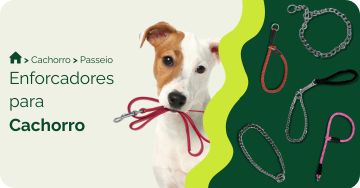 Enforcadores para cachorro