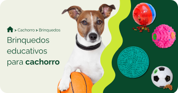 compre-por-pet/cachorro/brinquedos-para-cachorro/educativos-para-cachorro