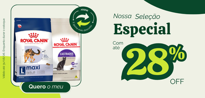 Os queridinhos