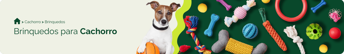 compre-por-pet/cachorro/brinquedos-para-cachorro