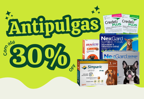 Antipulgas