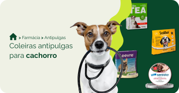 farmacia/antipulgas-para-cachorro/coleira-antipulgas-para-cachorro