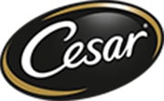 Cesar