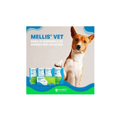 Anti-inflamatório Mellis Vet Meloxicam 4mg 10CP para Cães