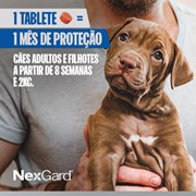 Antipulgas e Carrapatos Nexgard para Cães de 2 a 4kg 1 Tablete Mástigavel de 11,3mg