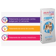 Antipulgas Transdermal Bravecto Plus 250 mg | 0,89 ml para Gatos de 2,8 kg a 6,25 kg