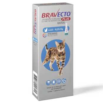 Antipulgas Transdermal Bravecto Plus 250 mg | 0,89 ml para Gatos de 2,8 kg a 6,25 kg - Imagem principal