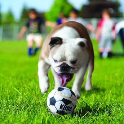 Bola Kong Sport Balls M Para Cães