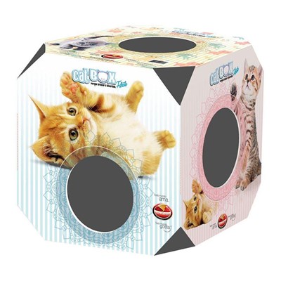 Brinquedo Cat Box Furacão Pet para Gatos Filhotes