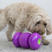 Brinquedo Interativo Kong Replay Porta Petiscos G para Cães