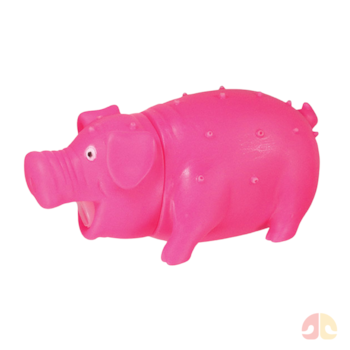 Brinquedo Mordedor Porco Roinc Rosa Jambo Pet para Cães - Imagem principal