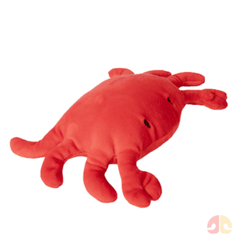 Brinquedo Pelúcia Fábrica Pet Caranguejo para Cães - Imagem principal