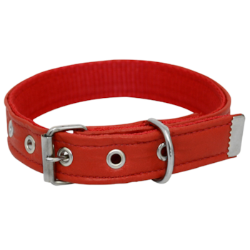 Coleira Reforçada de Courino Vermelha São Pet para Cachorros Nº7 - Imagem principal