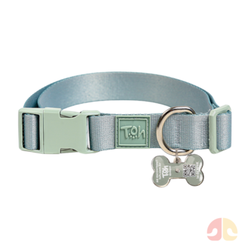 Coleira Toh com Tag ID QR Code Alga P - Imagem principal