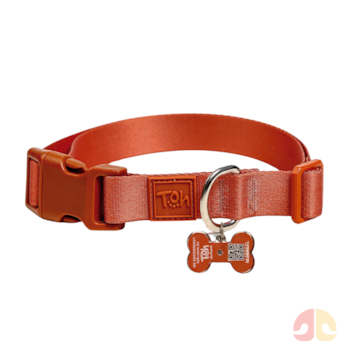 Coleira Toh com Tag ID QR Code Coral M - Imagem principal