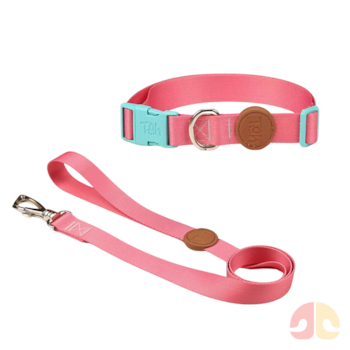 Conjunto Coleira e Guia Toh Fiji G para Cães - Imagem principal