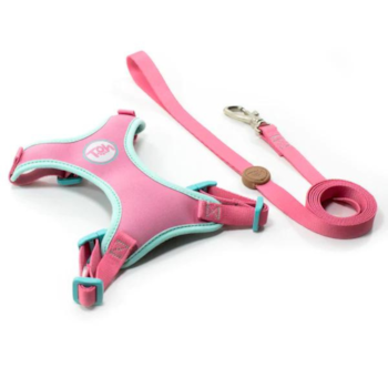 Conjunto Peitoral e Guia Neocomfy TOH Fiji para Gatos - Imagem principal