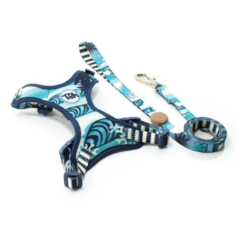 Conjunto Peitoral e Guia Neocomfy TOH Noronha para Gatos - Imagem principal