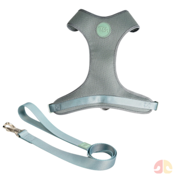 Conjunto Peitoral Mesh H e Guia Alga G para Cães - Imagem principal