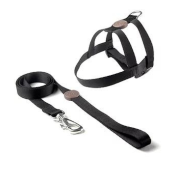 Conjunto Toh Guia e Peitoral Tradicional Black P - Imagem principal