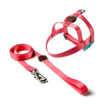 Conjunto Toh Guia e Peitoral Tradicional Fiji GG - Imagem principal