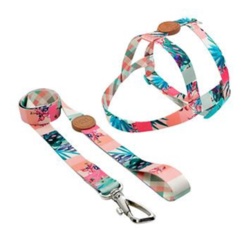 Conjunto Toh Guia e Peitoral Tradicional Laguna M - Imagem principal