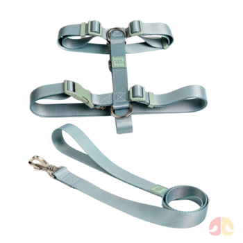 Conjunto Toh Peitoral H e Guia Alga P para Cães - Imagem principal