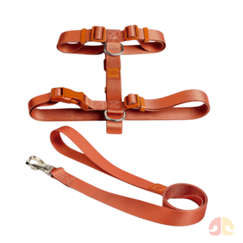 Conjunto Toh Peitoral H e Guia Coral P para Cães - Imagem principal