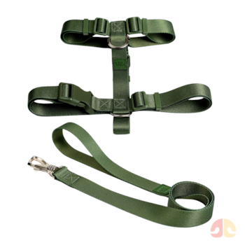 Conjunto Toh Peitoral H e Guia Florest PP para Cães - Imagem principal