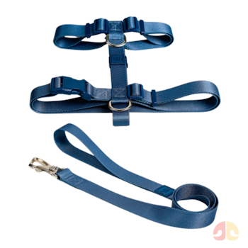 Conjunto Toh Peitoral H e Guia Marine P para Cães - Imagem principal