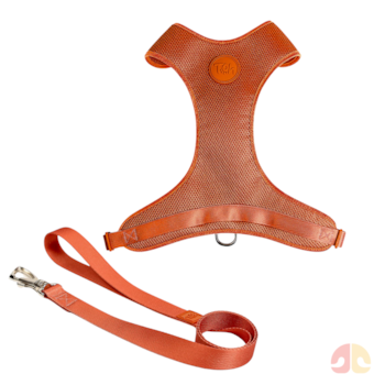 Conjunto Toh Peitoral Mesh e Guia Coral M para Cães - Imagem principal
