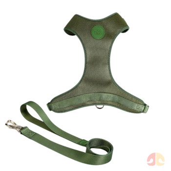 Conjunto Toh Peitoral Mesh H e Guia Florest G para Cães - Imagem principal