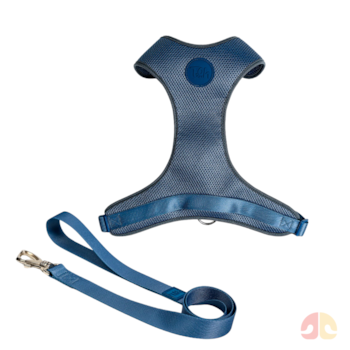 Conjunto Toh Peitoral Mesh H e Guia Marine P para Cães - Imagem principal