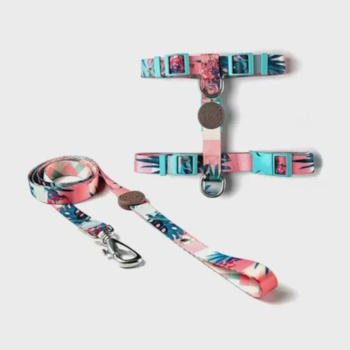 Conjunto Toh Peitoral Tipo H e Guia Laguna M - Imagem principal