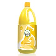 Eliminador de Odores Green Pet Citronela 2L