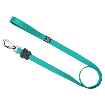 Guia Color Ribbon Boots e Pets para Cachorros e Gatos Verde Água G 1UN - Imagem principal