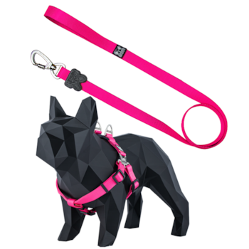 Guia com Peitoral Y American Boots e Pets para Cachorros Rosa G 1UN - Imagem principal