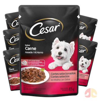 Kit 6 Sachês Cesar para Cães Adultos 85gr Sabor Carne Assada - Imagem principal