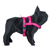 Kit Guia + Peitoral Easy Walk Boots e Pets para Cachorros Rosa 1UN G